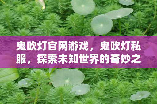 鬼吹灯官网游戏，鬼吹灯私服，探索未知世界的奇妙之旅