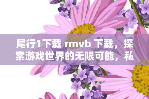 尾行1下载 rmvb 下载，探索游戏世界的无限可能，私服游戏的魅力与风险
