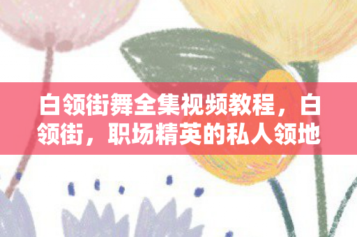 白领街舞全集视频教程，白领街，职场精英的私人领地与社交新生态