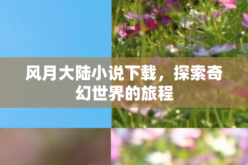 风月大陆小说下载，探索奇幻世界的旅程