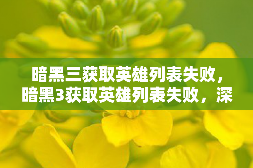 暗黑三获取英雄列表失败，暗黑3获取英雄列表失败，深度解析与解决方案