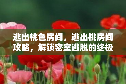 逃出桃色房间，逃出桃房间攻略，解锁密室逃脱的终极谜题