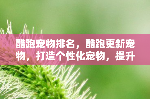 酷跑宠物排名，酷跑更新宠物，打造个性化宠物，提升游戏体验