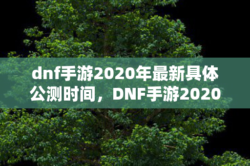 dnf手游2020年最新具体公测时间，DNF手游2020公测，全新体验，即将开启