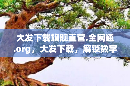 大发下载旗舰直营.全网通.org，大发下载，解锁数字娱乐新体验