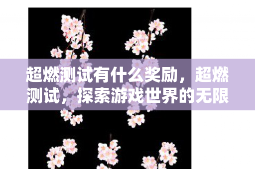 超燃测试有什么奖励，超燃测试，探索游戏世界的无限可能