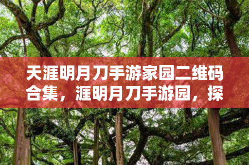 天涯明月刀手游家园二维码合集，涯明月刀手游园，探索未知世界的奇妙之旅