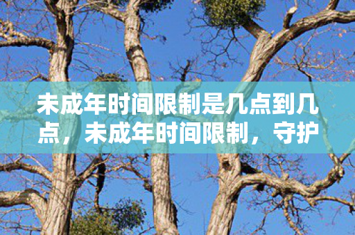 未成年时间限制是几点到几点，未成年时间限制，守护成长，共筑网络净土