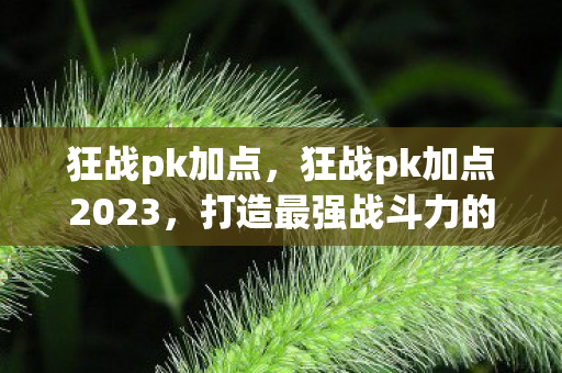 狂战pk加点，狂战pk加点2023，打造最强战斗力的加点策略