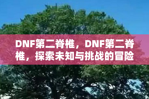 DNF第二脊椎，DNF第二脊椎，探索未知与挑战的冒险之旅