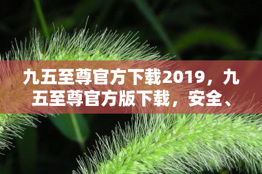 九五至尊官方下载2019，九五至尊官方版下载，安全、稳定、高效的体验