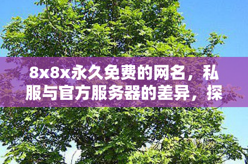 8x8x永久免费的网名，私服与官方服务器的差异，探索游戏世界的另一面