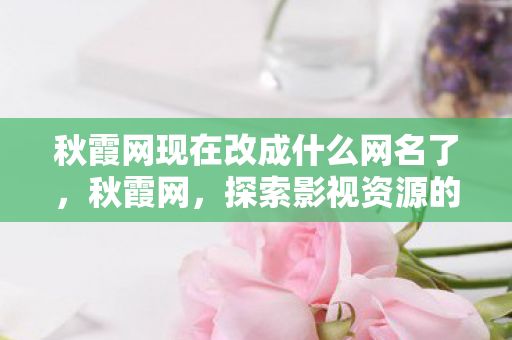 秋霞网现在改成什么网名了，秋霞网，探索影视资源的多元化与便捷性