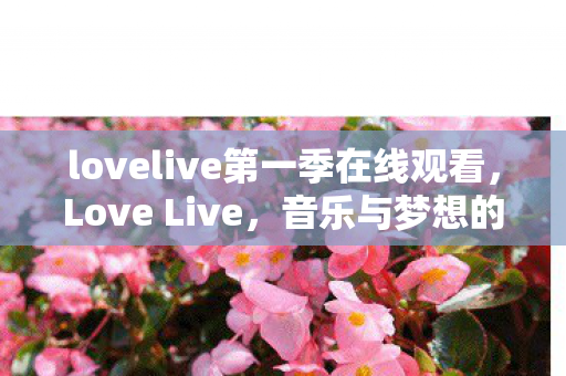 lovelive第一季在线观看，Love Live，音乐与梦想的交响曲