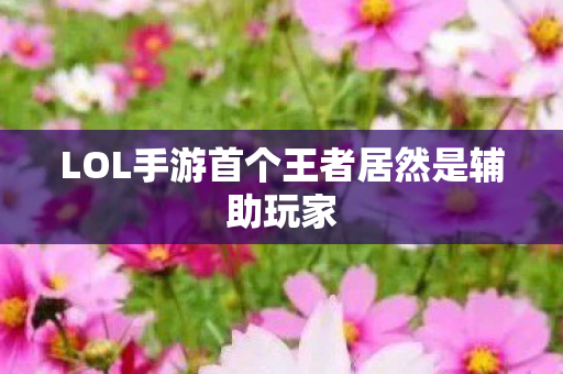 LOL手游首个王者居然是辅助玩家 LOL手游首个王者居然是辅助玩家