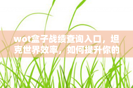 wot盒子战绩查询入口，坦克世界效率，如何提升你的游戏表现？