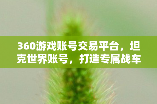 360游戏账号交易平台，坦克世界账号，打造专属战车，驰骋战场