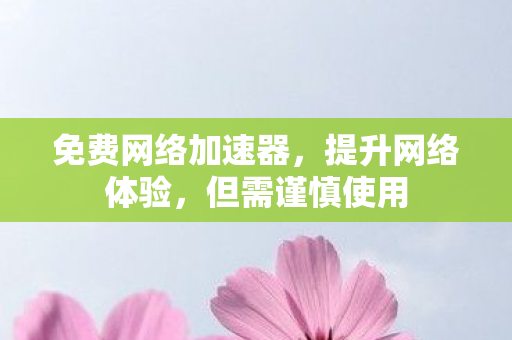 免费网络加速器，提升网络体验，但需谨慎使用