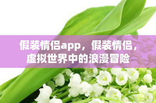 假装情侣app，假装情侣，虚拟世界中的浪漫冒险