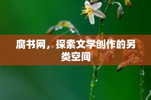 腐书网，探索文学创作的另类空间