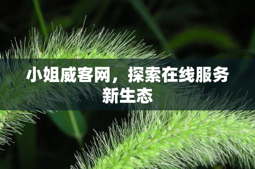 小姐威客网，探索在线服务新生态
