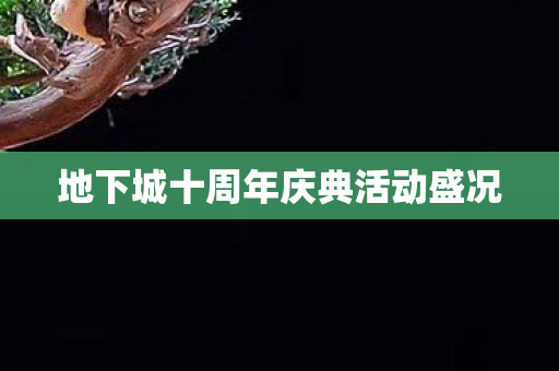 地下城十周年庆典活动盛况 地下城十周年庆典活动盛况