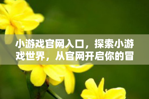 小游戏官网入口，探索小游戏世界，从官网开启你的冒险之旅