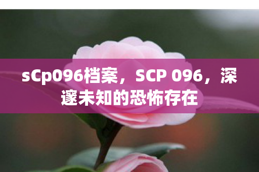 sCp096档案，SCP 096，深邃未知的恐怖存在