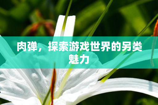 肉弹，探索游戏世界的另类魅力
