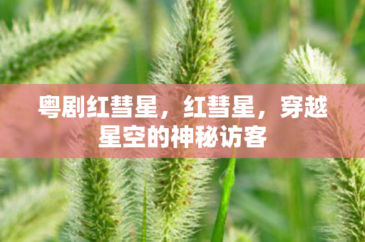 粤剧红彗星，红彗星，穿越星空的神秘访客