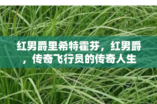 红男爵里希特霍芬，红男爵，传奇飞行员的传奇人生