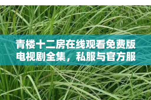 青楼十二房在线观看免费版电视剧全集，私服与官方服务器的差异，从用户体验到运营模式的深度剖析