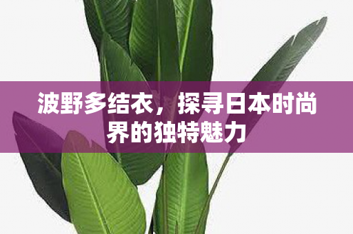 波野多结衣，探寻日本时尚界的独特魅力
