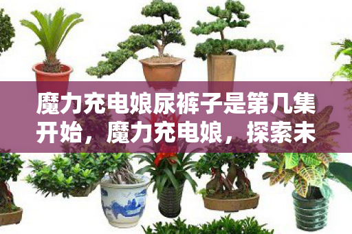 魔力充电娘尿裤子是第几集开始，魔力充电娘，探索未来充电的无限可能