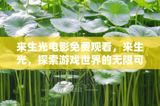 来生光电影免费观看，来生光，探索游戏世界的无限可能