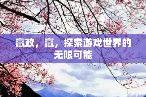 赢政，赢，探索游戏世界的无限可能