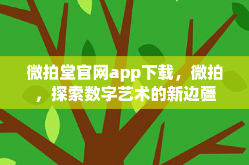 微拍堂官网app下载，微拍，探索数字艺术的新边疆