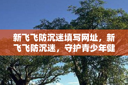 新飞飞防沉迷填写网址，新飞飞防沉迷，守护青少年健康成长的数字防线
