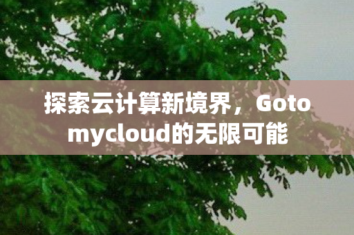 探索云计算新境界，Gotomycloud的无限可能