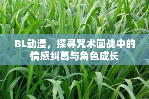 BL动漫，探寻咒术回战中的情感纠葛与角色成长