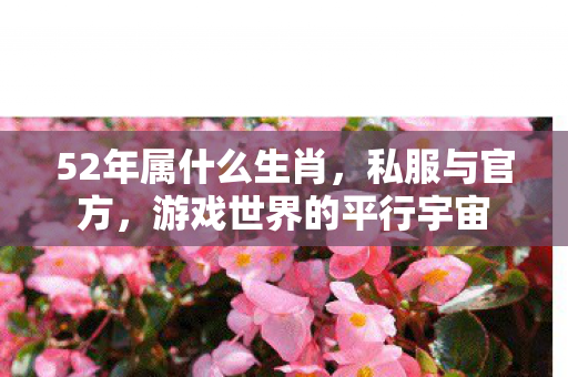 52年属什么生肖，私服与官方，游戏世界的平行宇宙