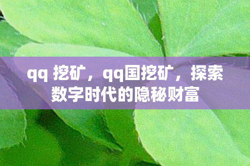 qq 挖矿，qq国挖矿，探索数字时代的隐秘财富