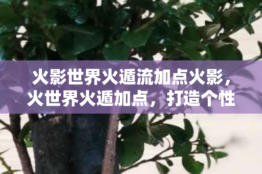 火影世界火遁流加点火影，火世界火遁加点，打造个性化角色的关键
