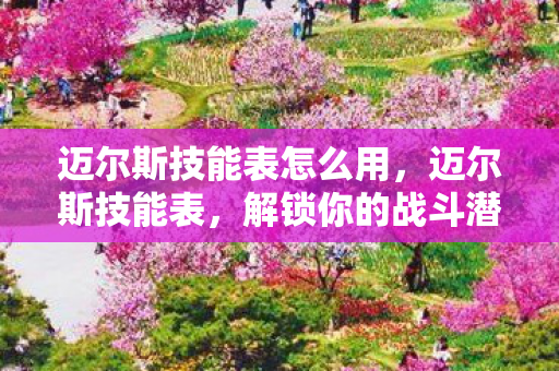 迈尔斯技能表怎么用，迈尔斯技能表，解锁你的战斗潜能
