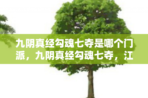 九阴真经勾魂七夺是哪个门派，九阴真经勾魂七夺，江湖风云中的绝世武学