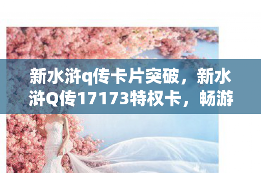 新水浒q传卡片突破，新水浒Q传17173特权卡，畅游水浒世界的专属钥匙