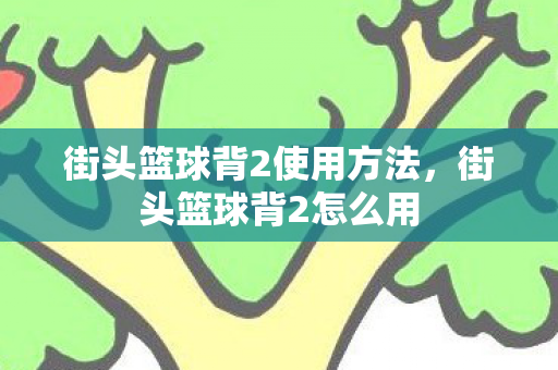 街头篮球背2使用方法，街头篮球背2怎么用