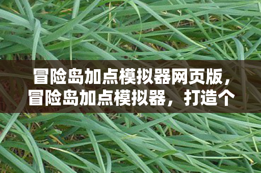 冒险岛加点模拟器网页版，冒险岛加点模拟器，打造个性化角色，提升战斗力的关键