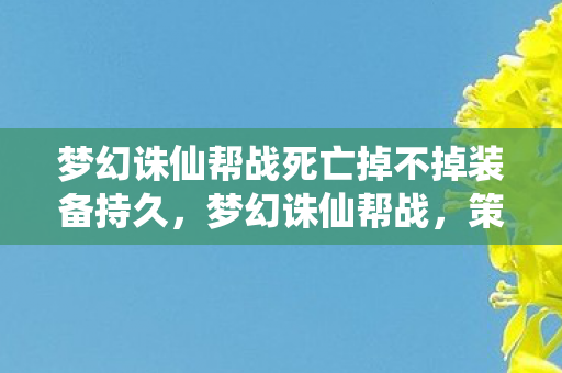 梦幻诛仙帮战死亡掉不掉装备持久，梦幻诛仙帮战，策略与激情的碰撞