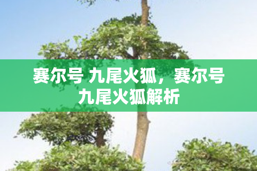 赛尔号 九尾火狐，赛尔号九尾火狐解析